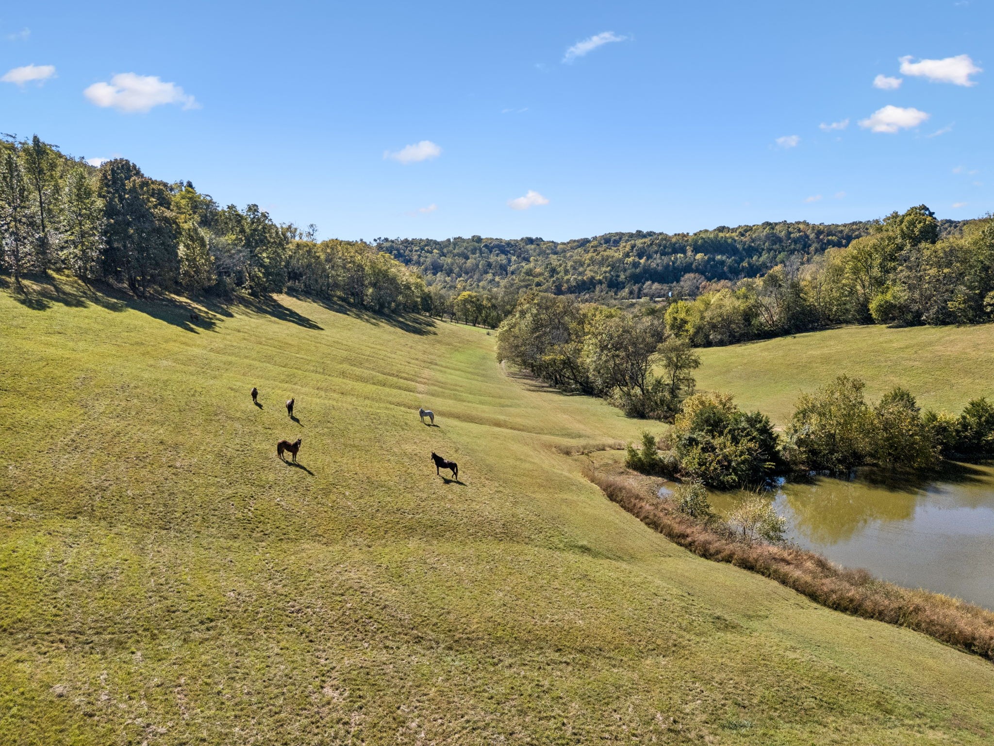 2846 Fuller Hollow Road Cornersville, TN 37047 - Photo 3 of 90
