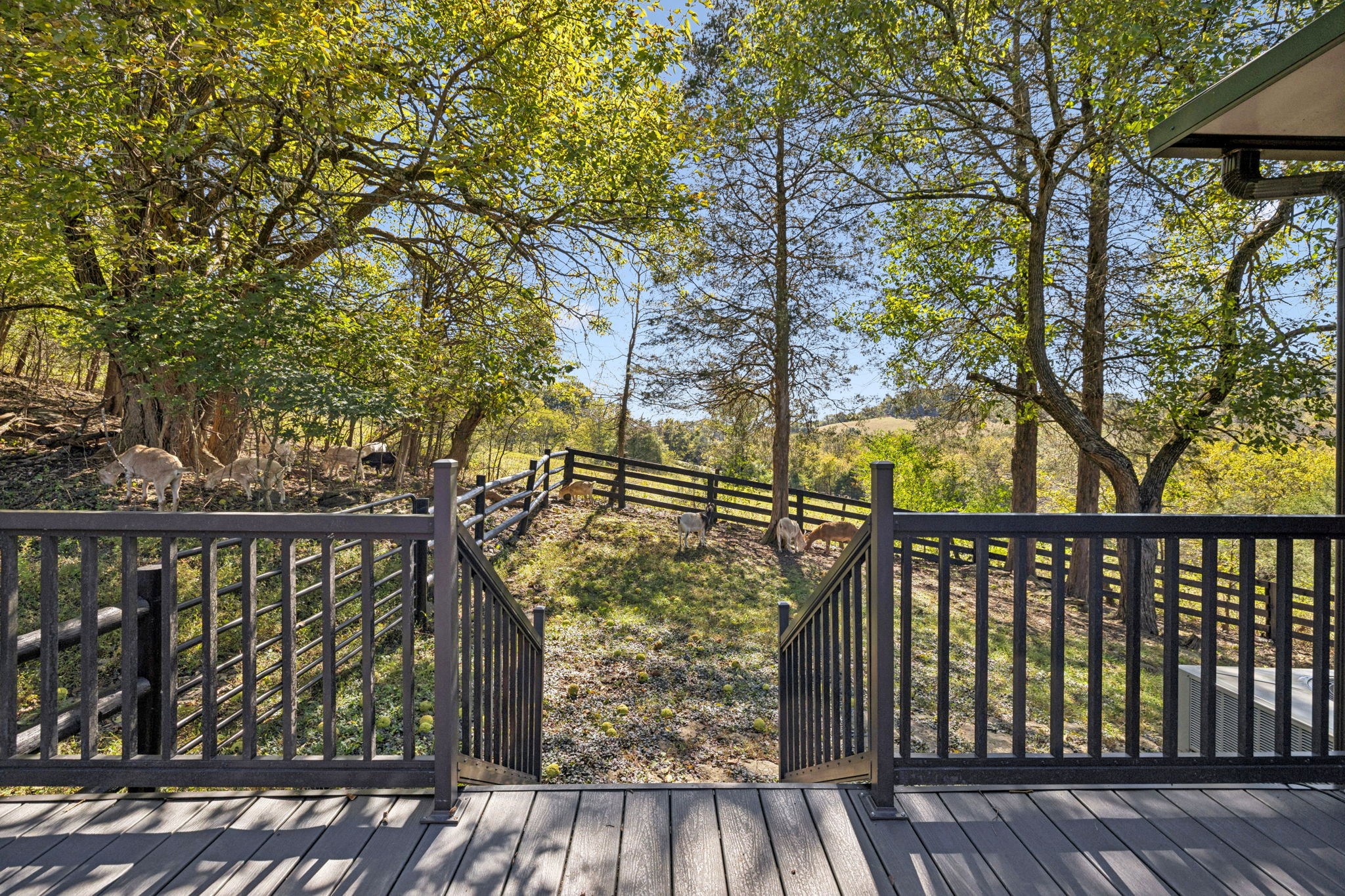 2846 Fuller Hollow Road Cornersville, TN 37047 - Photo 48 of 90