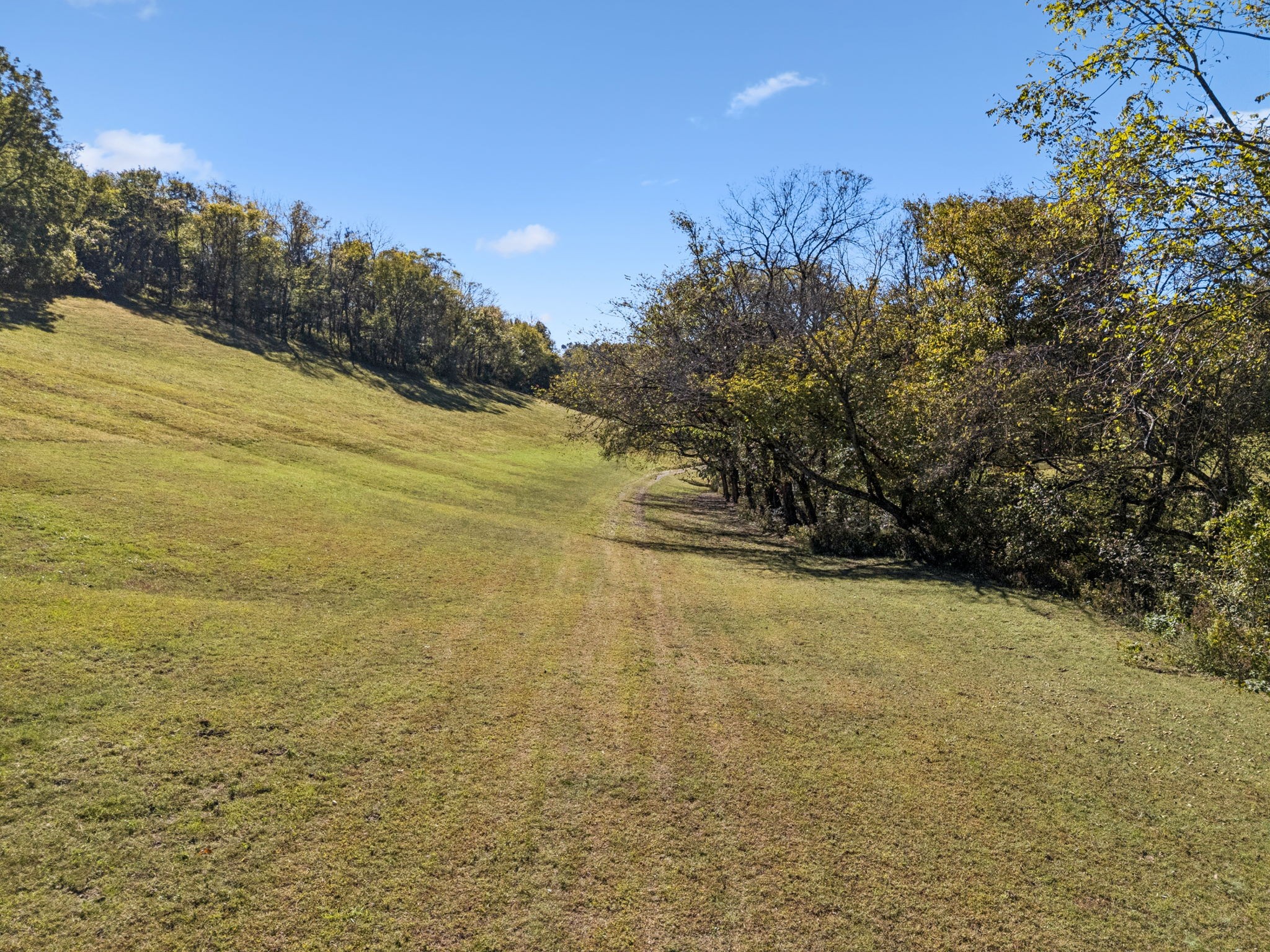 2846 Fuller Hollow Road Cornersville, TN 37047 - Photo 57 of 90