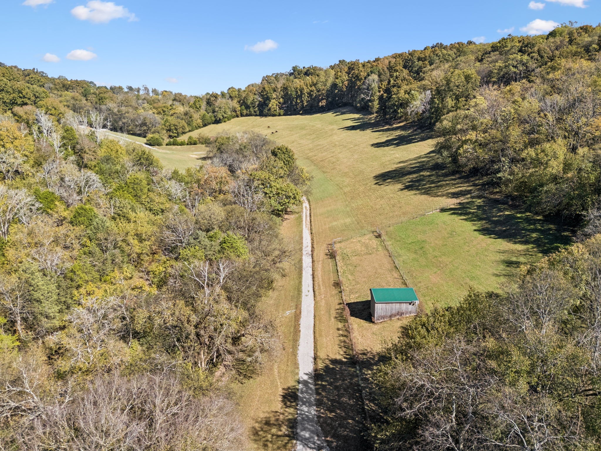 2846 Fuller Hollow Road Cornersville, TN 37047 - Photo 66 of 90