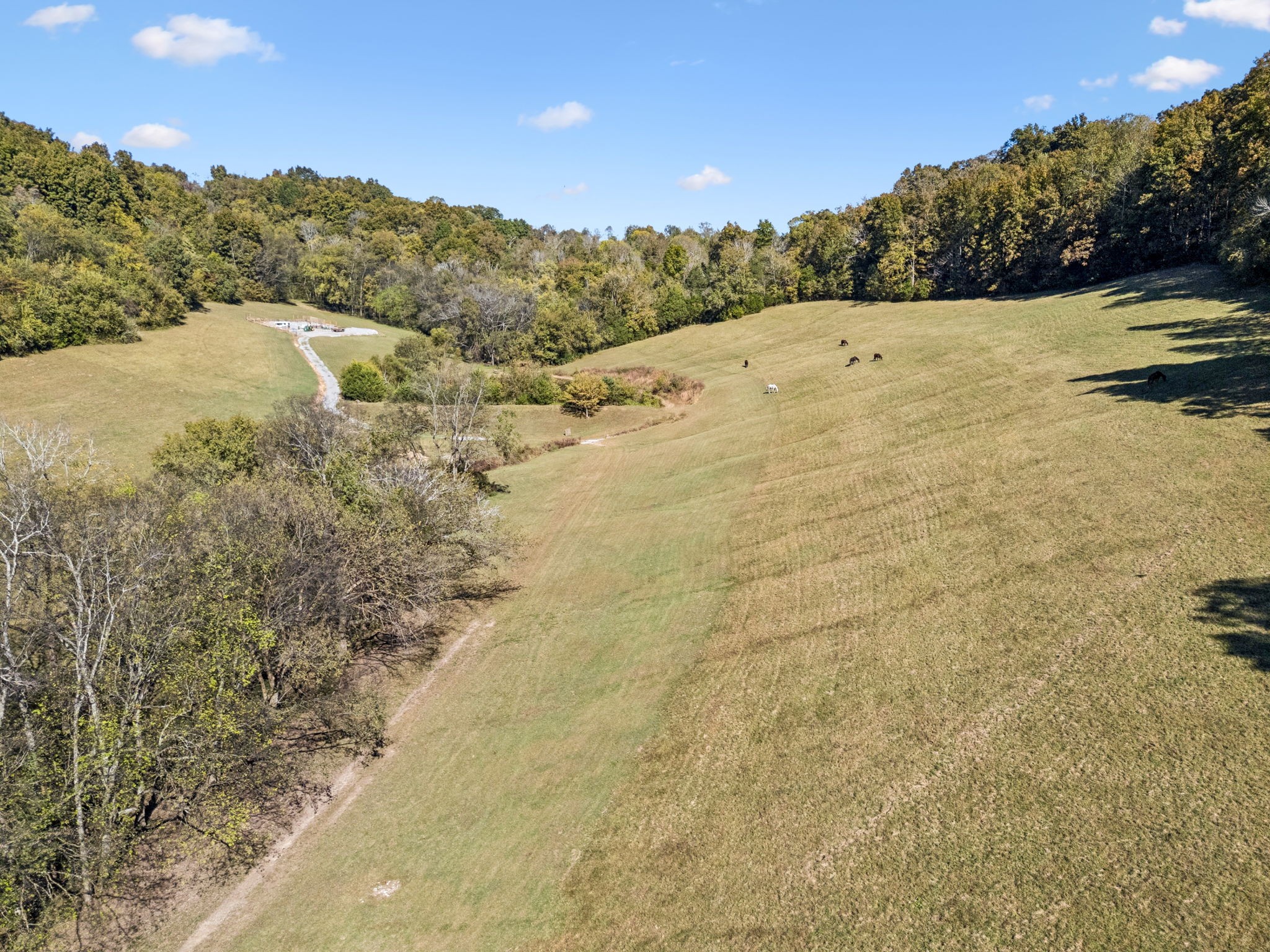 2846 Fuller Hollow Road Cornersville, TN 37047 - Photo 67 of 90