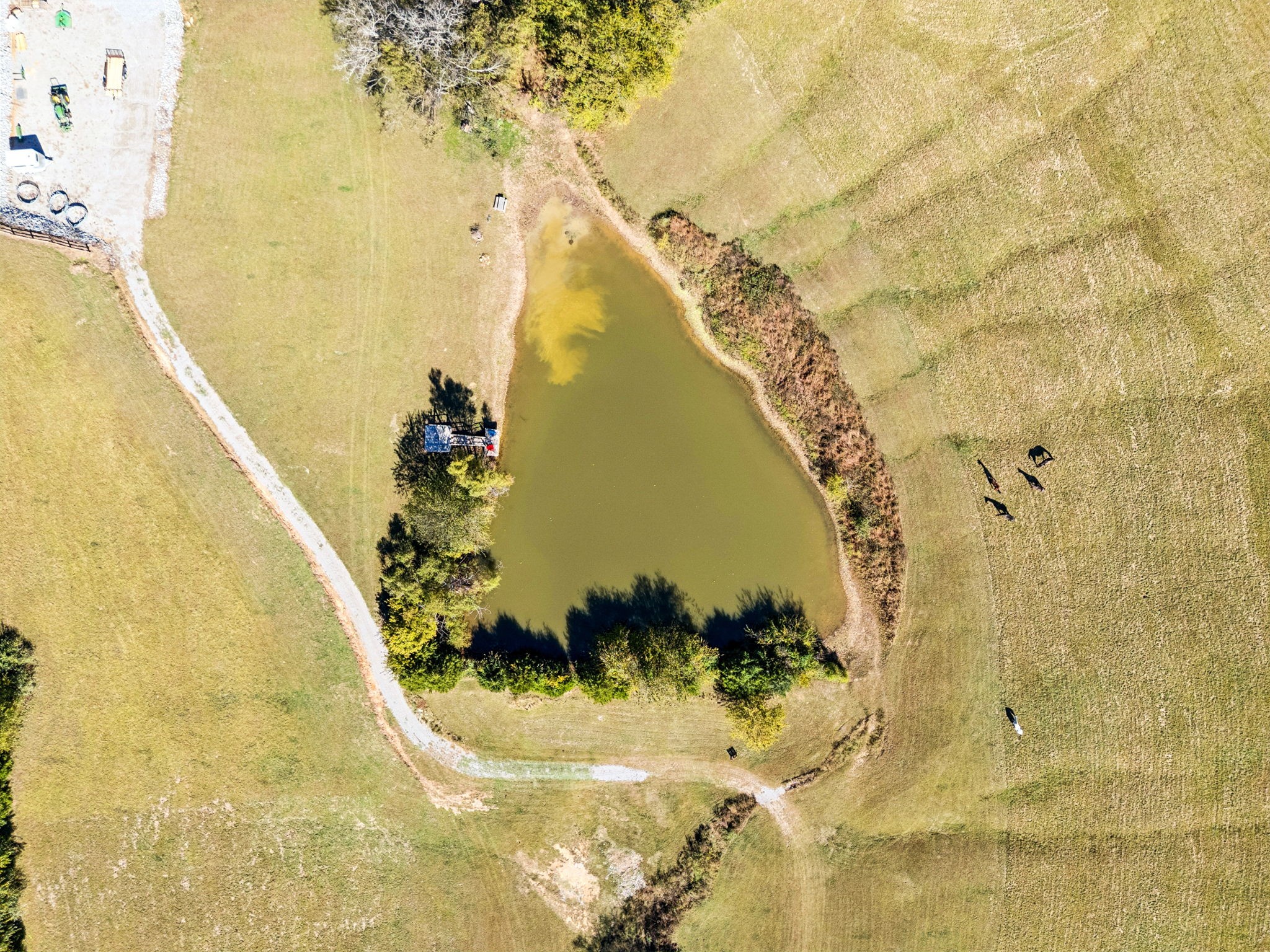 2846 Fuller Hollow Road Cornersville, TN 37047 - Photo 68 of 90