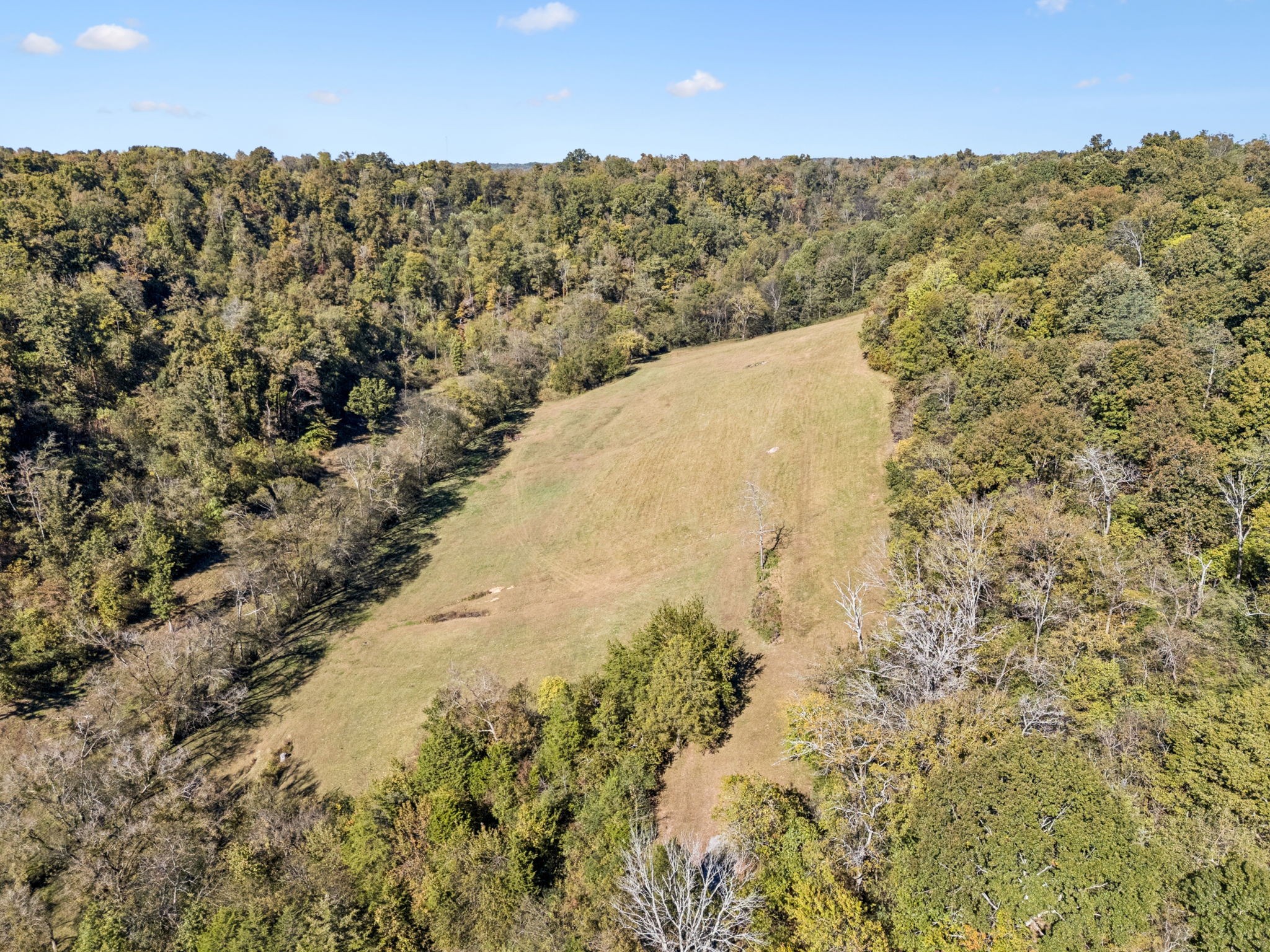 2846 Fuller Hollow Road Cornersville, TN 37047 - Photo 74 of 90