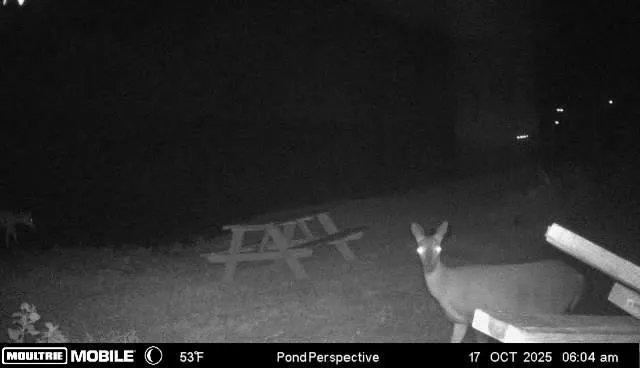 $1,250,000 | 2846 Fuller Hollow Road, Cornersville, TN 37047