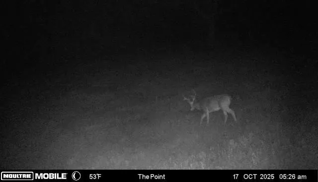 $1,250,000 | 2846 Fuller Hollow Road, Cornersville, TN 37047