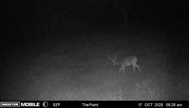 2846 Fuller Hollow Road Cornersville, TN 37047 - Photo 85 of 90