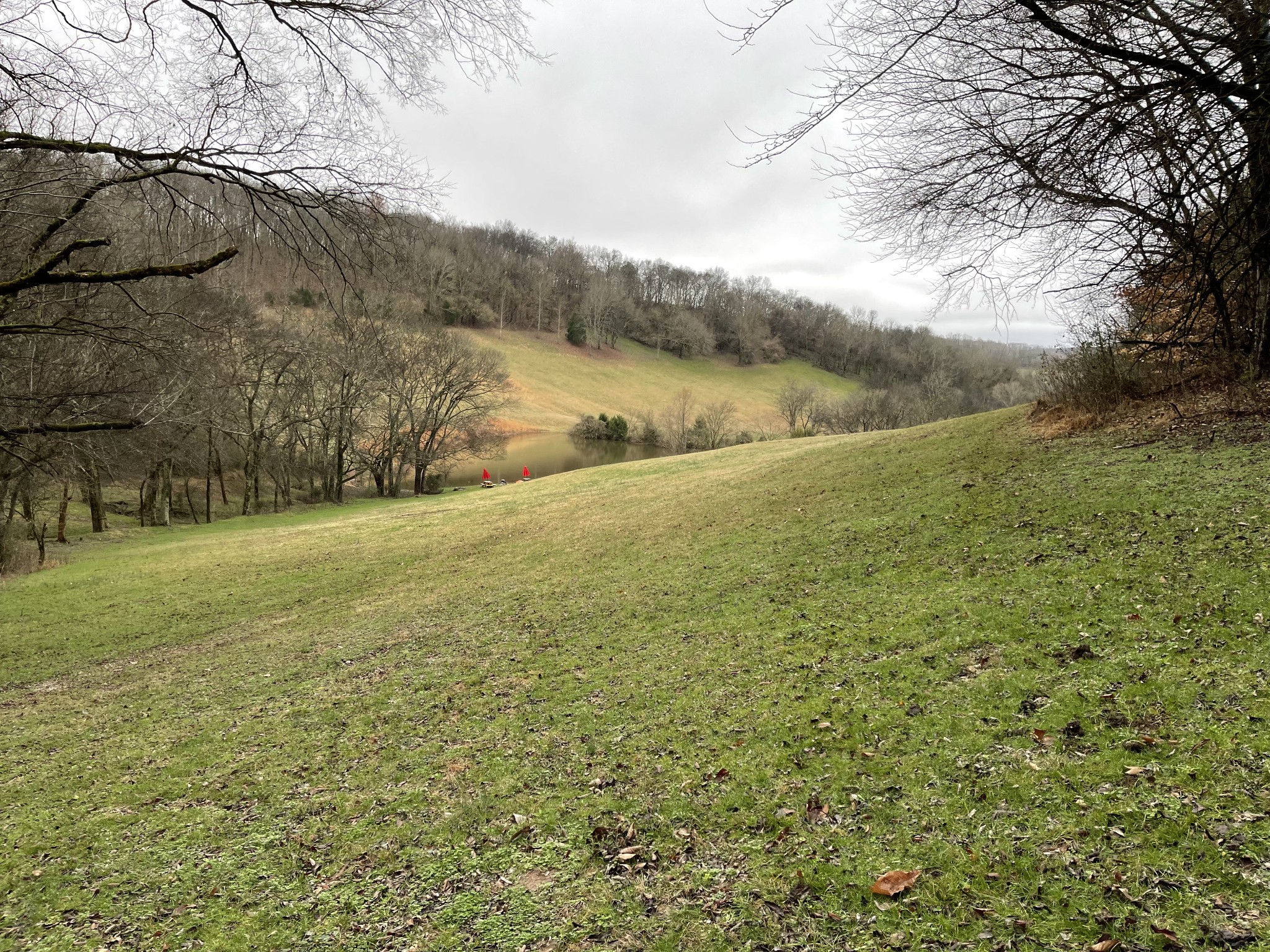 2846 Fuller Hollow Road Cornersville, TN 37047 - Photo 89 of 90
