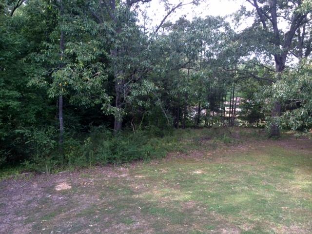 219 Wynns Ferry Road Dover, TN 37058 - Photo 4 of 11 Nice back yard with privacy