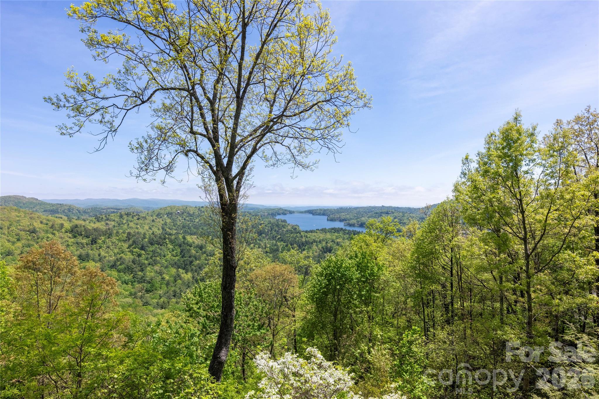 562 Panther Ridge Road Lake Toxaway, NC 28747 - Photo 20 of 47 Gallery Image 20