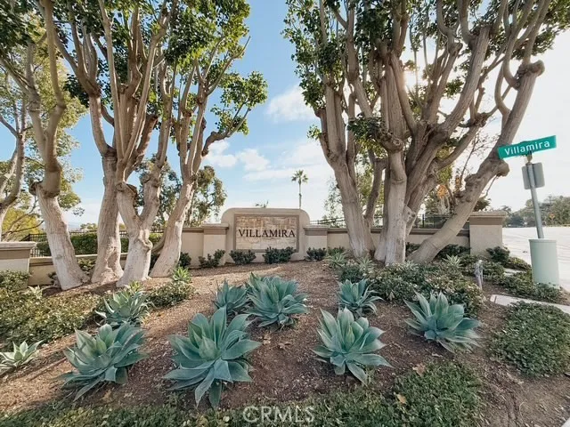 a view of a garden with a tree