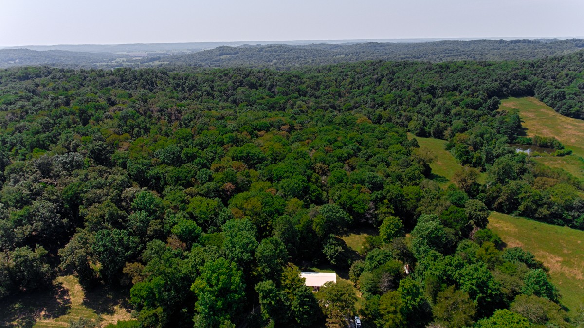 1758 Old Stage Road Ardmore, TN 38449 - Photo 25 of 25 a view of a lush green forest with trees and some houses