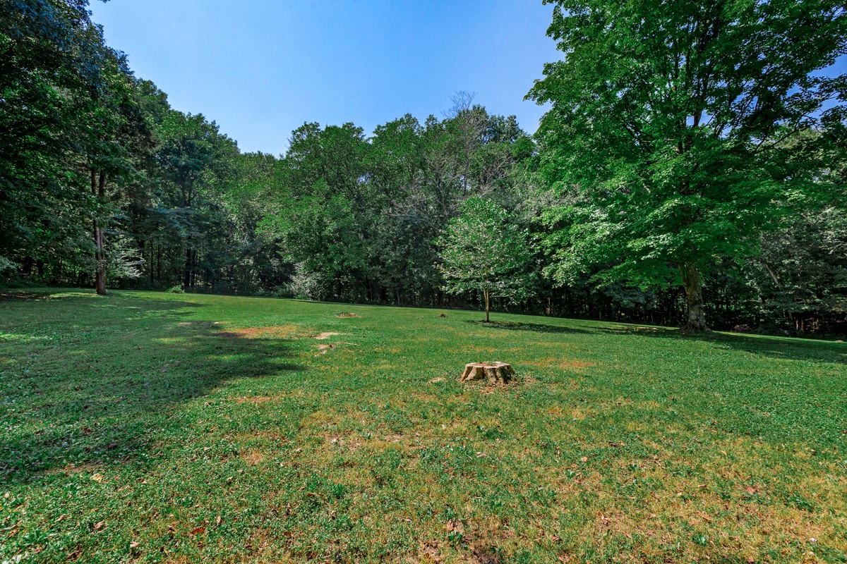 1758 Old Stage Road Ardmore, TN 38449 - Photo 7 of 25 a view of a park with large trees