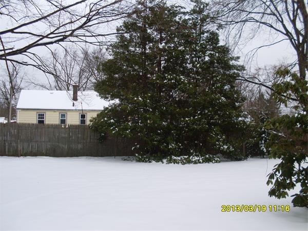 115 Cherokee Drive Springfield, MA 01109 - Photo 12 of 12 Gallery Image 12