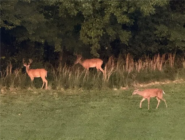 $2,000,000 | 2760 Camp Branch Road, Buford, GA 30519