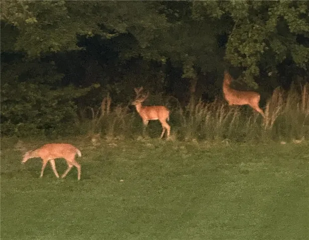 $2,000,000 | 2760 Camp Branch Road, Buford, GA 30519