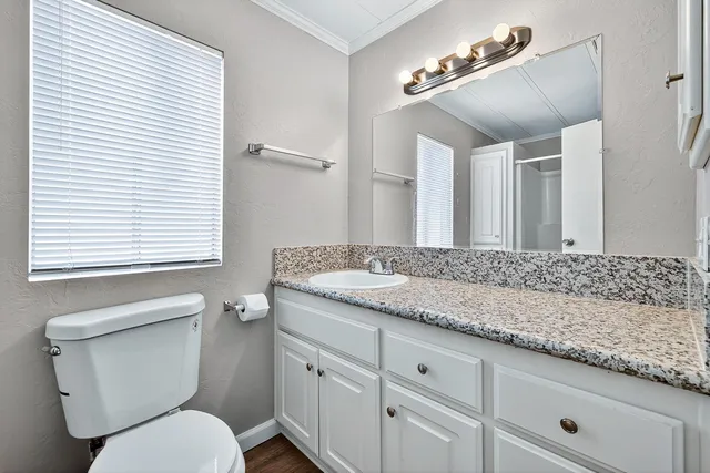 a bathroom with a granite countertop toilet sink and mirror