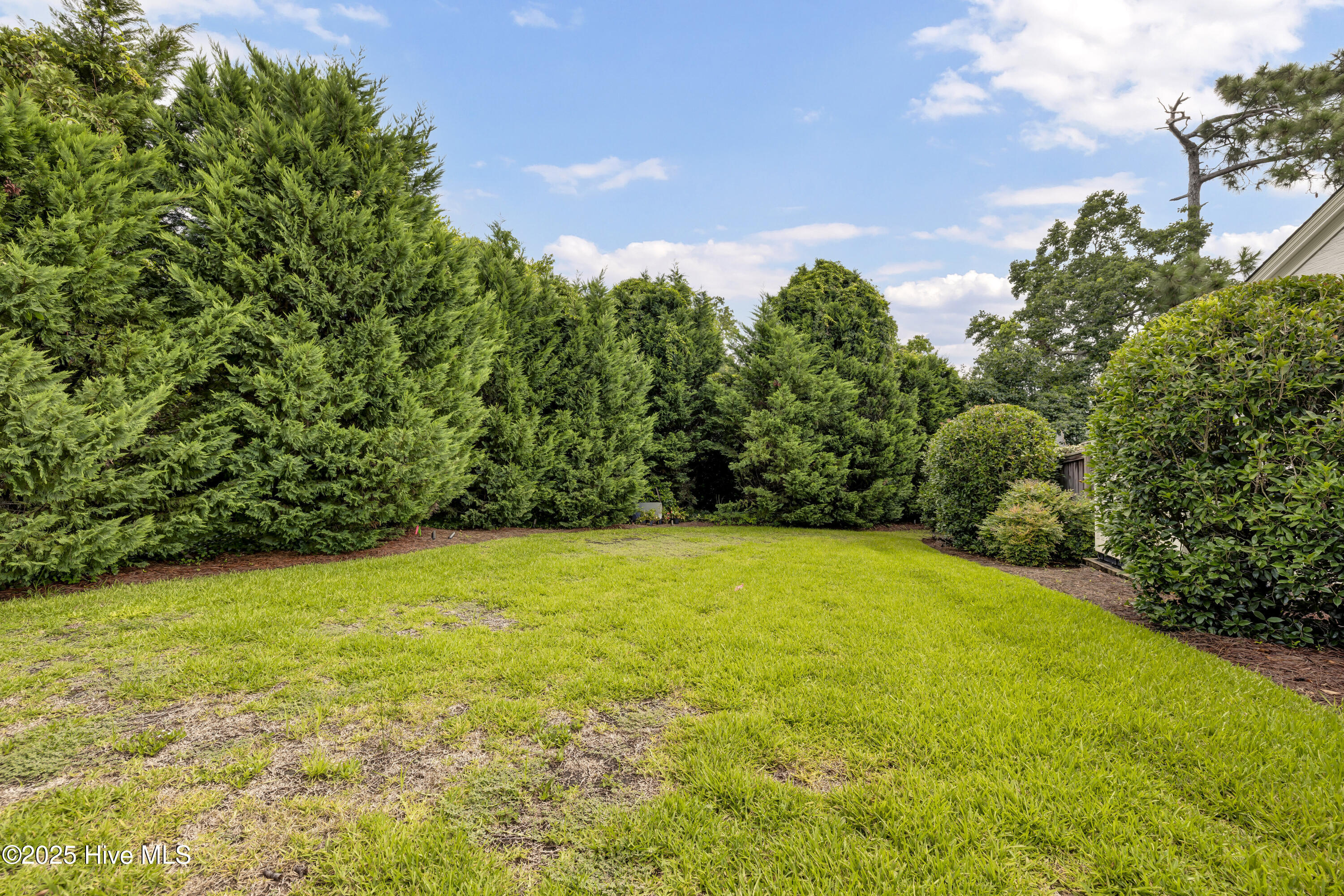 1920 Hillsboro Road Wilmington, NC 28403 - Photo 51 of 69 048_6q7a3453_478