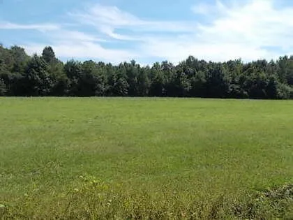 $20,000 | 0 County Line Road, Cross, SC 29436