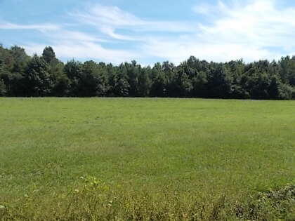 0 County Line Road Cross, SC 29436 - Photo 1 of 1 0CountyLineRd