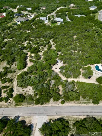 a view of a yard with plants