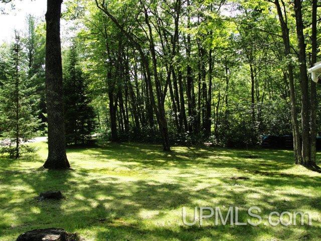 W9866 1 Mile Road Dunbar, WI 54119 - Photo 12 of 14 Gallery Image 12