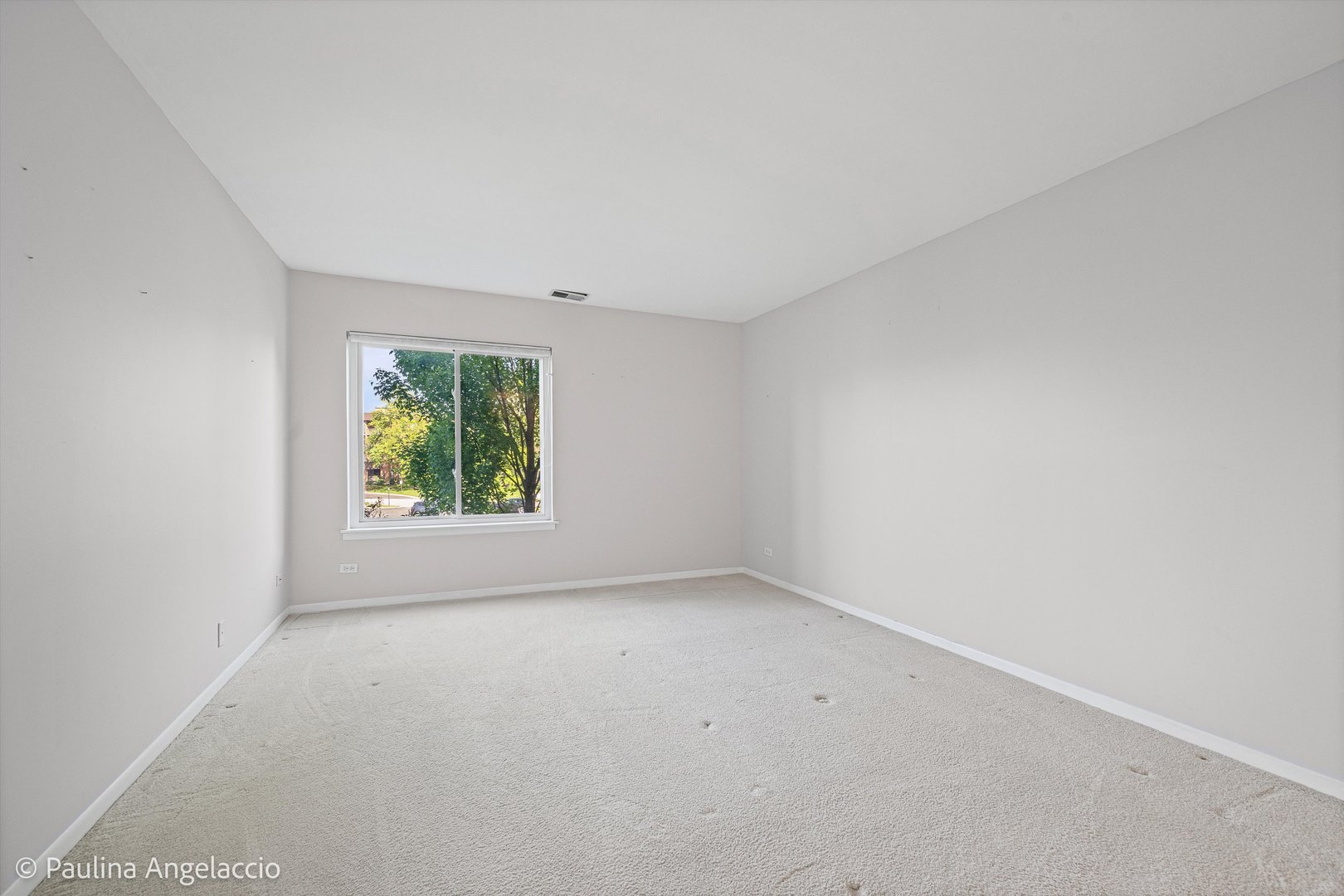 900 East Wilmette Road, Unit 219 Palatine, IL 60074 - Photo 7 of 16