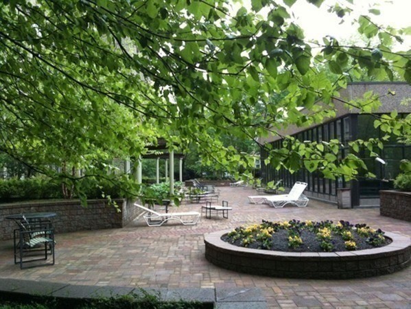 1731 Beacon Street, Unit 1210 Brookline, MA 02445 - Photo 21 of 32 a view of a backyard with plants and a patio