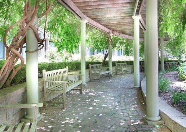 1731 Beacon Street, Unit 1210 Brookline, MA 02445 - Photo 22 of 32 a view of a small yard with wooden fence and large trees