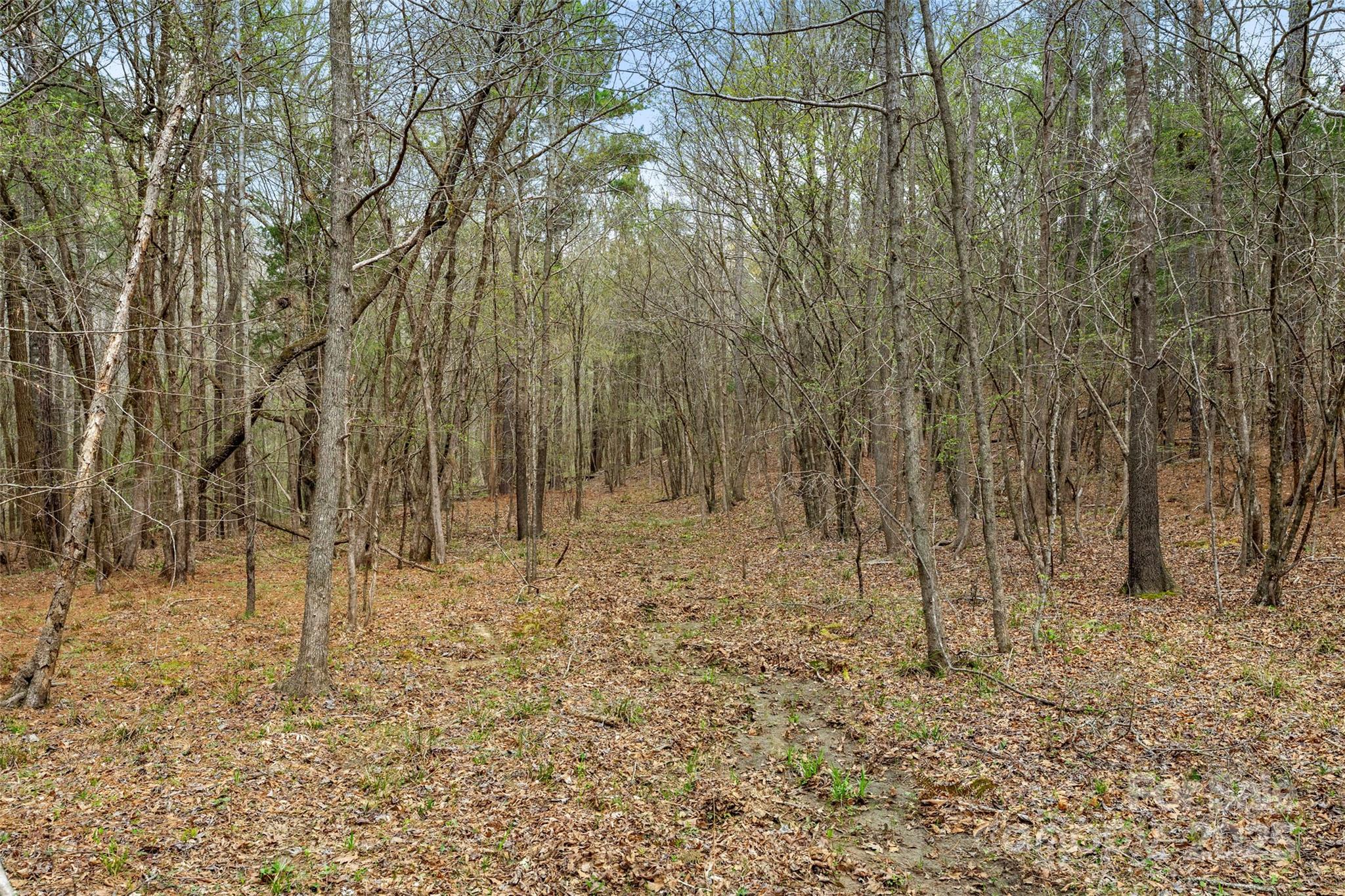 0 J B J B Denton Road Lancaster, SC 29720 - Photo 15 of 41 Gallery Image 15