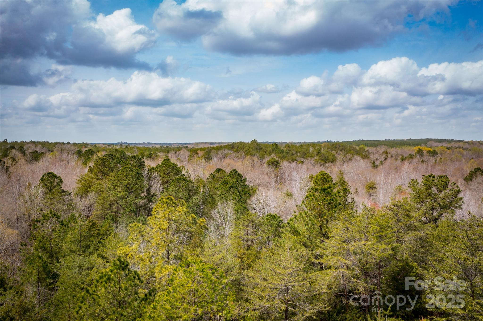 0 J B J B Denton Road Lancaster, SC 29720 - Photo 23 of 41 Gallery Image 23