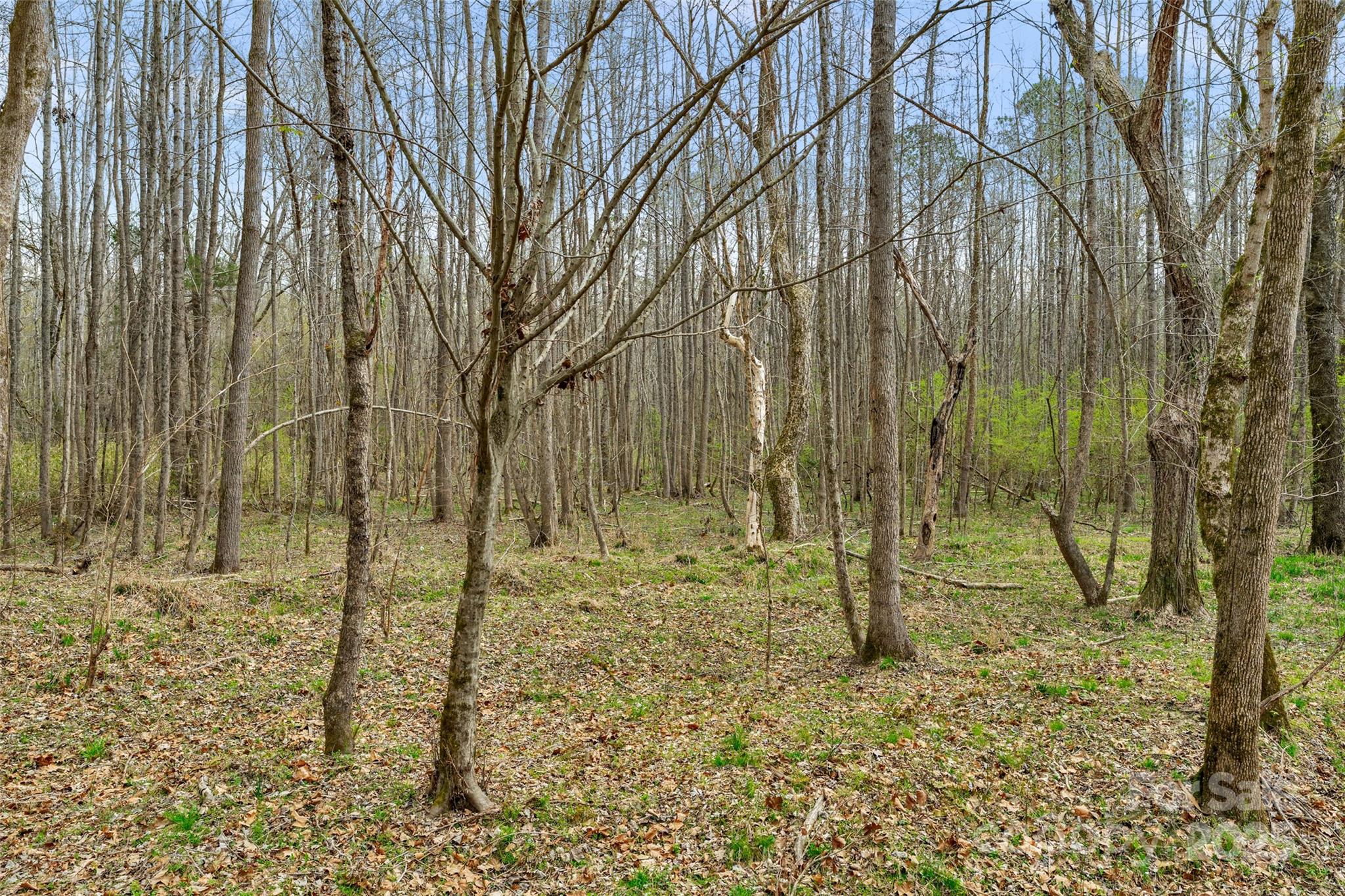 0 J B J B Denton Road Lancaster, SC 29720 - Photo 7 of 41 Gallery Image 7