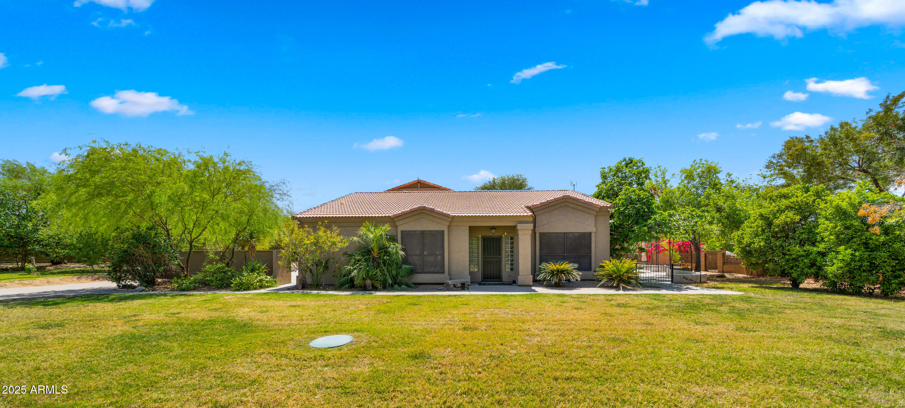 Front Yard