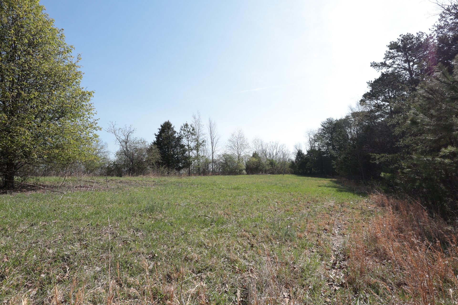 527 Dyer Hollow Road Dayton, TN 37321 - Photo 35 of 61 Gallery Image 35