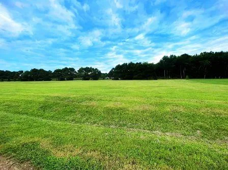 $40,000 | Lot 57 Lewis Lane, Unit 57, Wachapreague, VA 23480