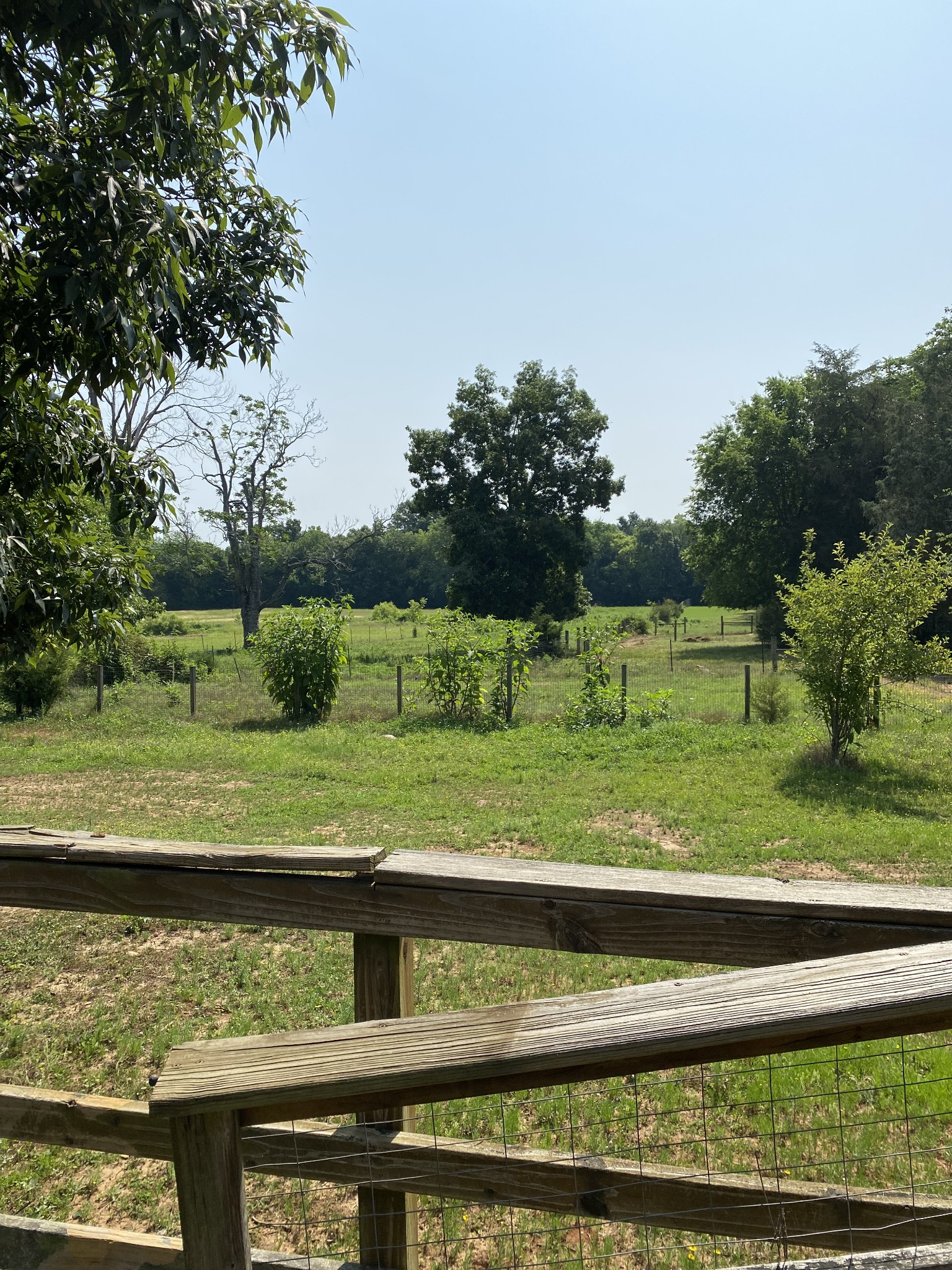 831 Old Shannon Road Lebanon, TN 37090 - Photo 11 of 11 a view of a yard with a sink