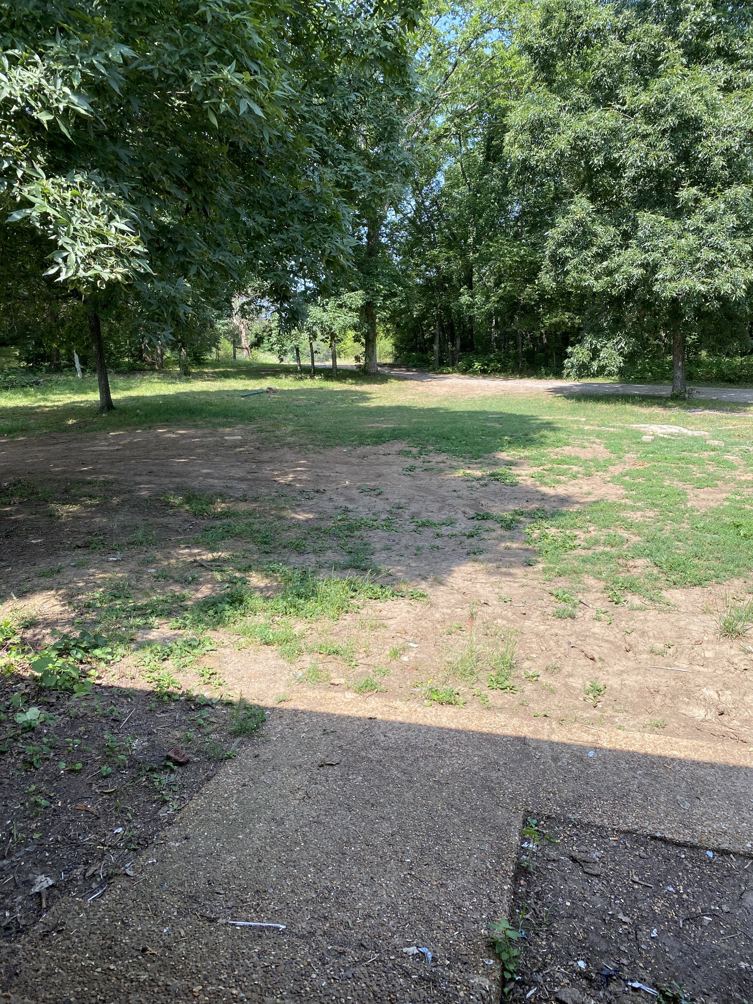 831 Old Shannon Road Lebanon, TN 37090 - Photo 2 of 11 a view of a park with large trees