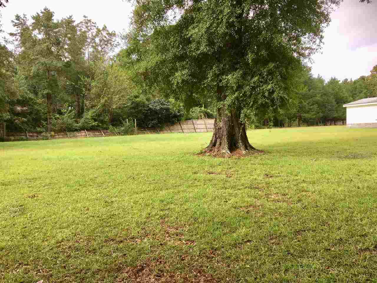 3318 Concord Road Havana, FL 32333 - Photo 8 of 31 Gallery Image 8