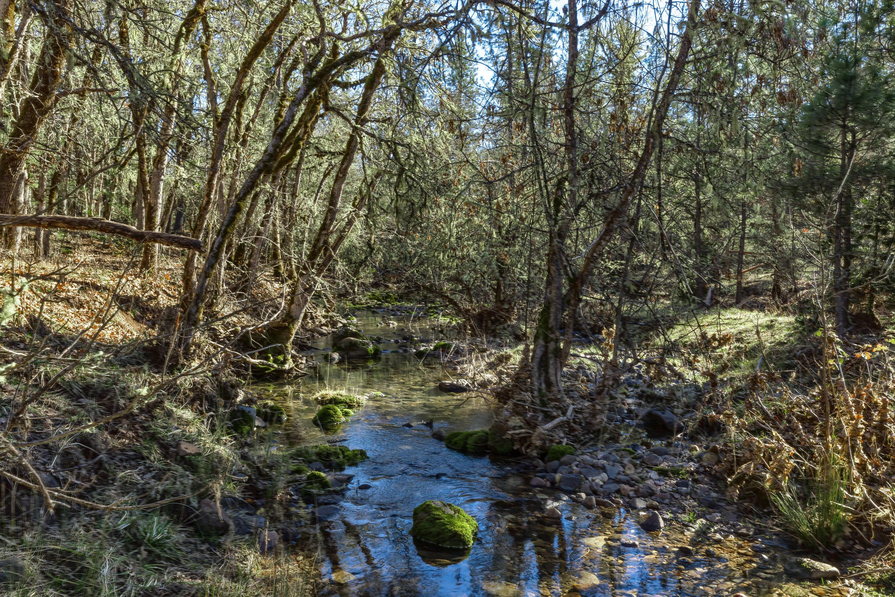 25 Long Branch Road Eagle Point, OR 97524 - Photo 40 of 41 LBR(21)