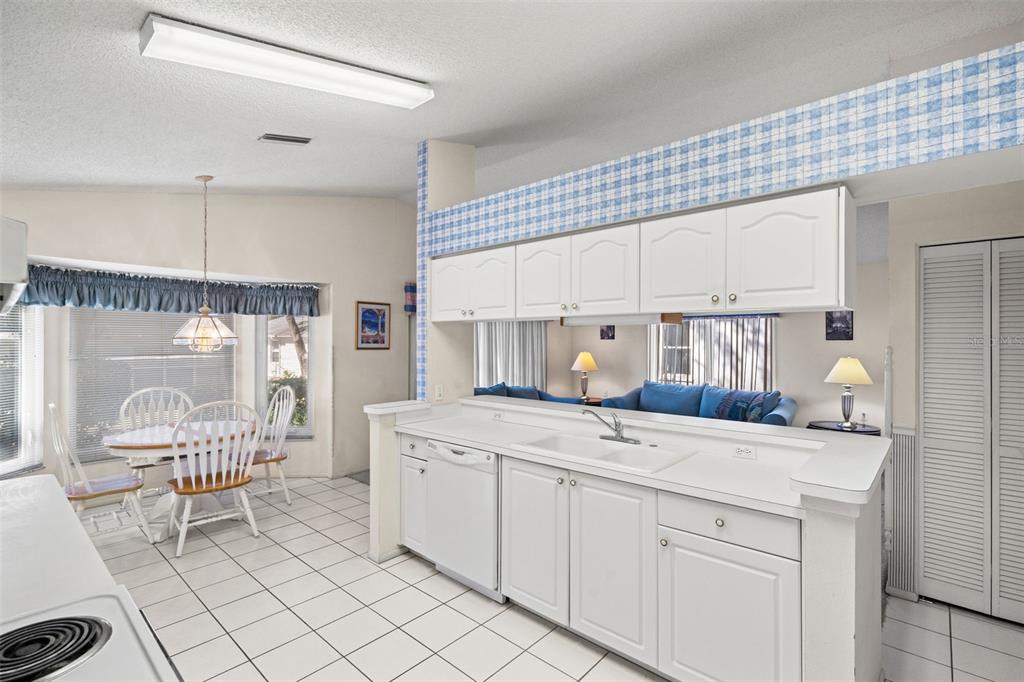 3119 Saw Mill Lane Spring Hill, FL 34606 - Photo 14 of 69