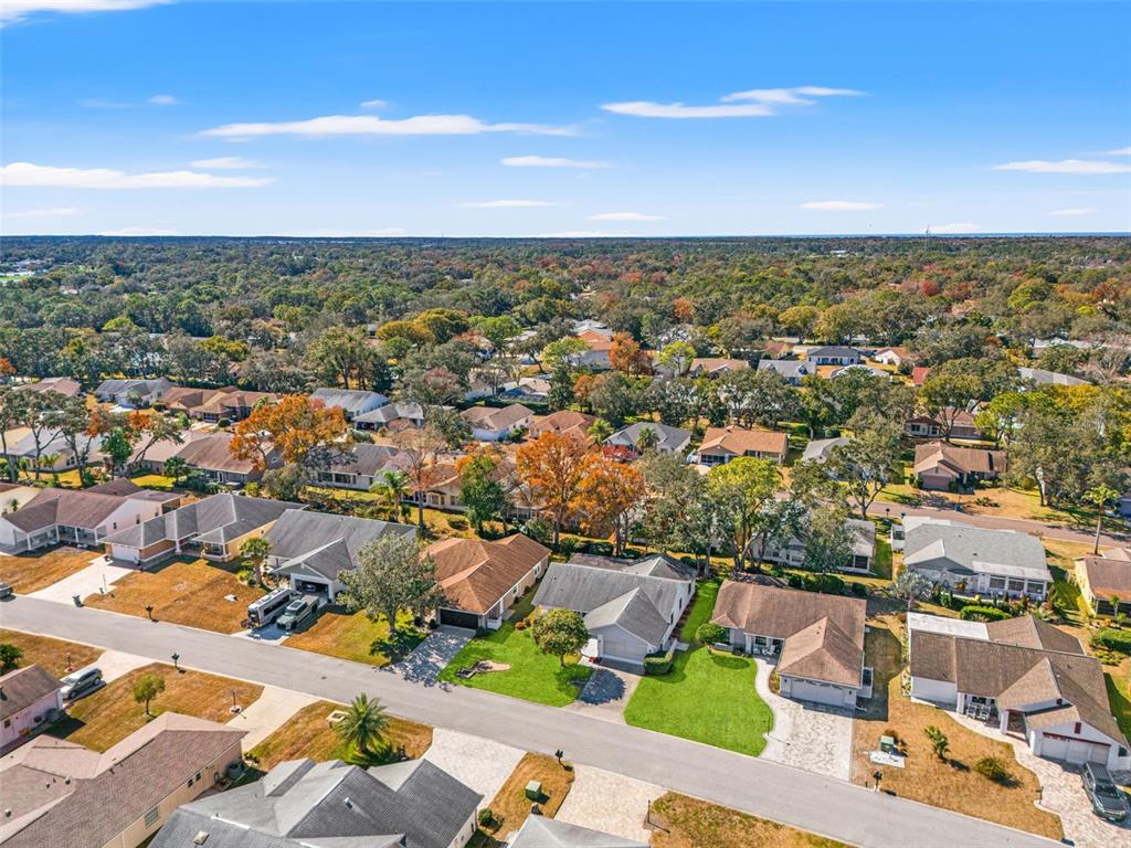 3119 Saw Mill Lane Spring Hill, FL 34606 - Photo 50 of 69