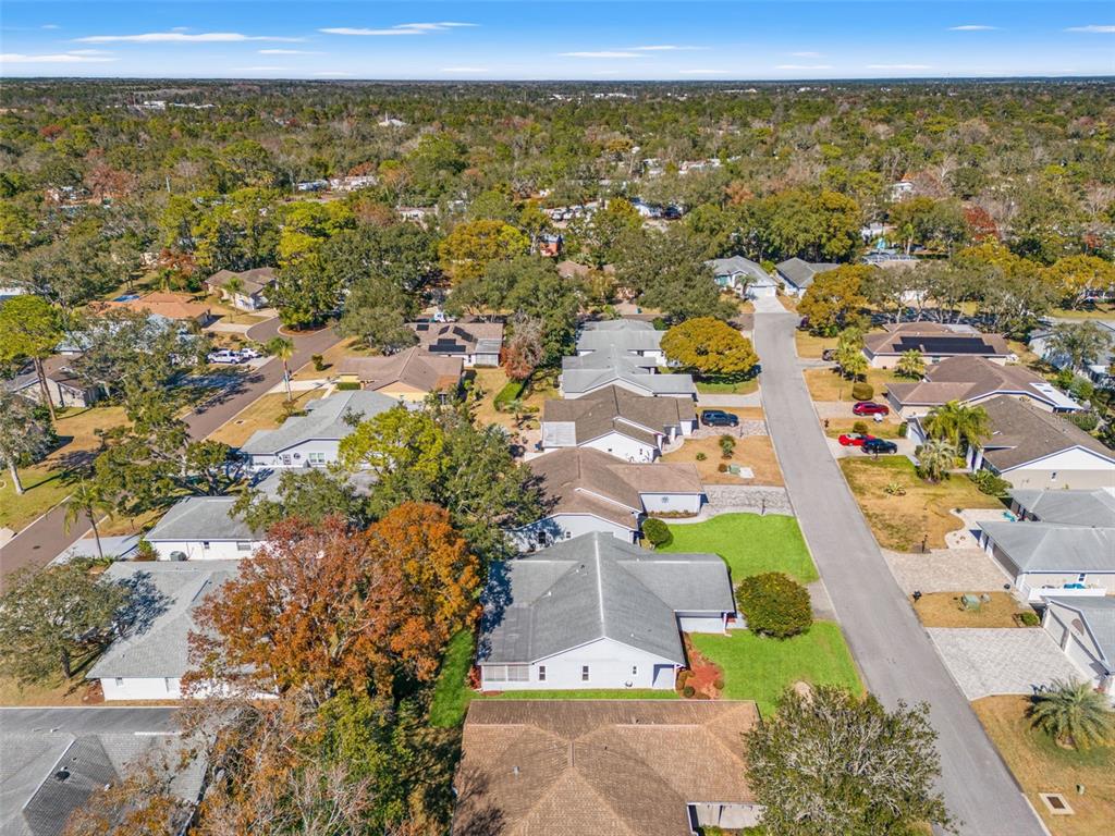 3119 Saw Mill Lane Spring Hill, FL 34606 - Photo 51 of 69