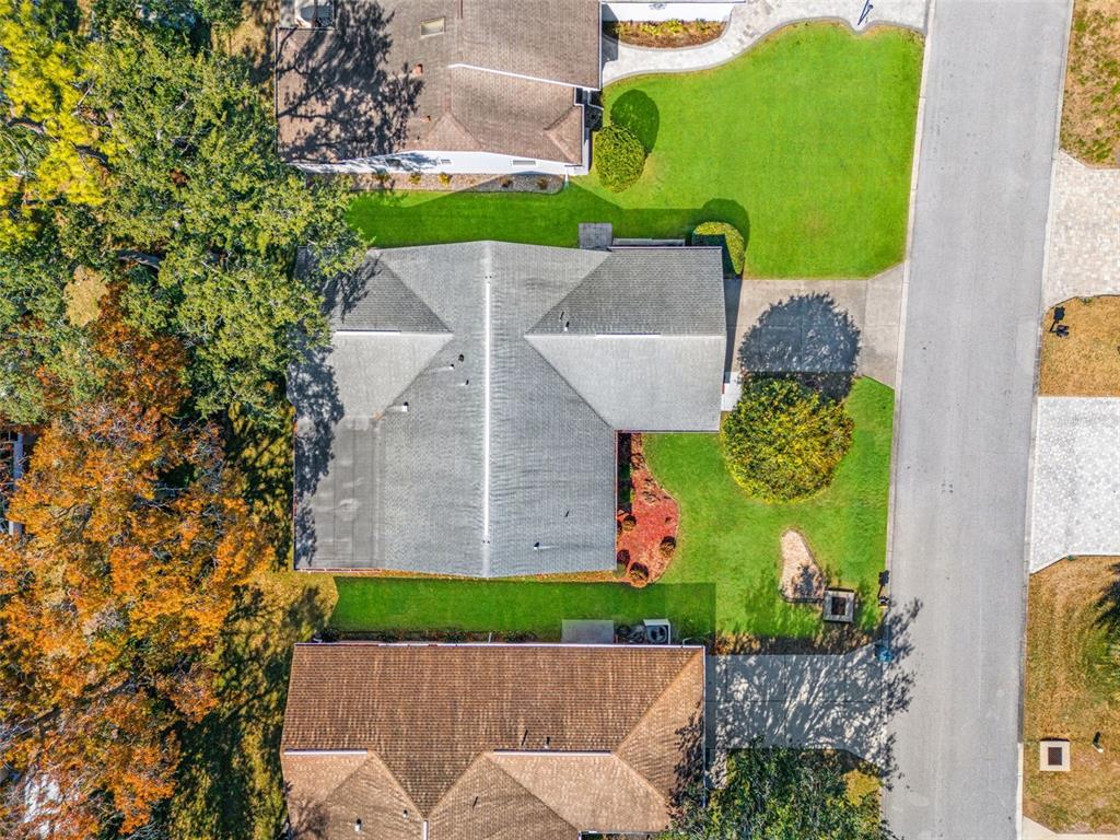 3119 Saw Mill Lane Spring Hill, FL 34606 - Photo 53 of 69