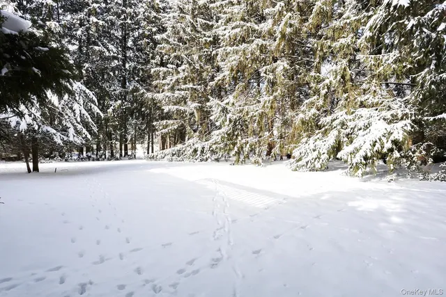 $899,000 | 4 Crabapple Court, Monsey, NY 10952