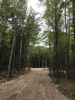 0 Alna Road Wiscasset, ME 04578 - Photo 6 of 9 IMG_9487