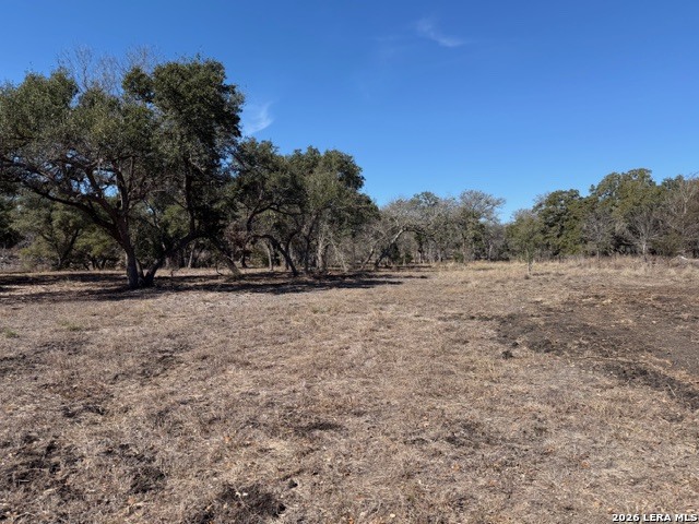 25648 Morhiss Point Boerne, TX 78006 - Photo 12 of 14