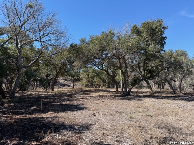 25648 Morhiss Point Boerne, TX 78006 - Photo 13 of 14