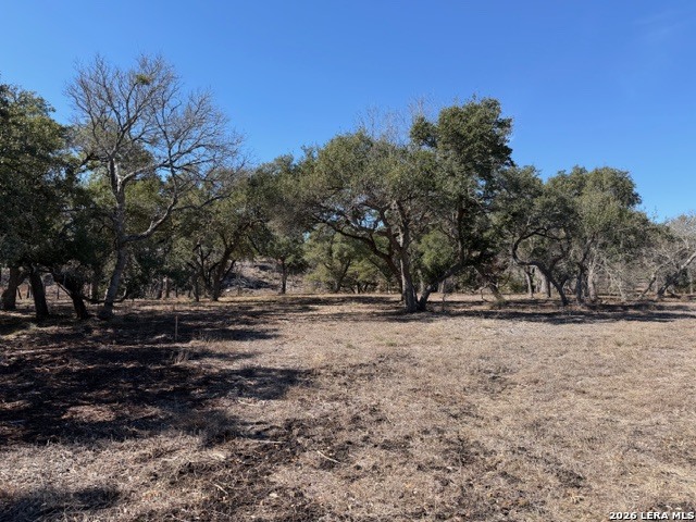 25648 Morhiss Point Boerne, TX 78006 - Photo 14 of 14