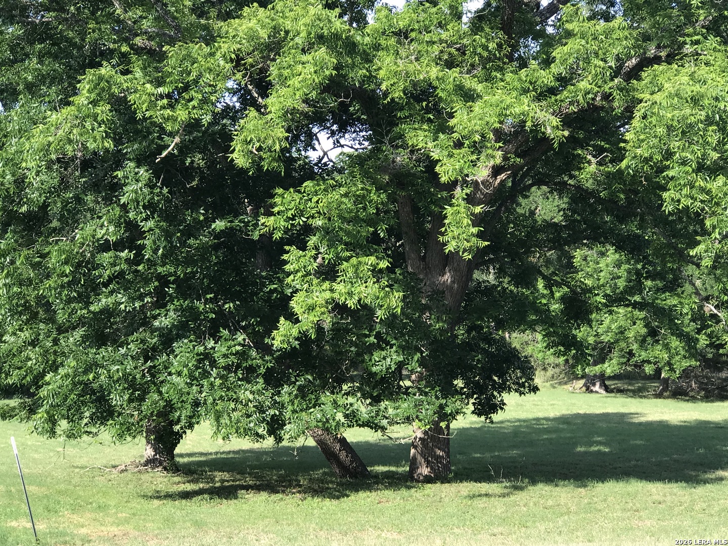 25648 Morhiss Point Boerne, TX 78006 - Photo 7 of 14
