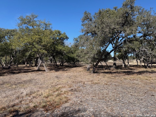 25648 Morhiss Point Boerne, TX 78006 - Photo 10 of 14