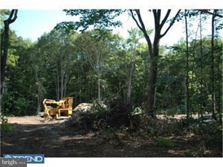 17 Ginger Road Chesterfield, NJ 08515 - Photo 11 of 13